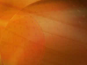 常见财务指标误区：现金流好就不会破产吗